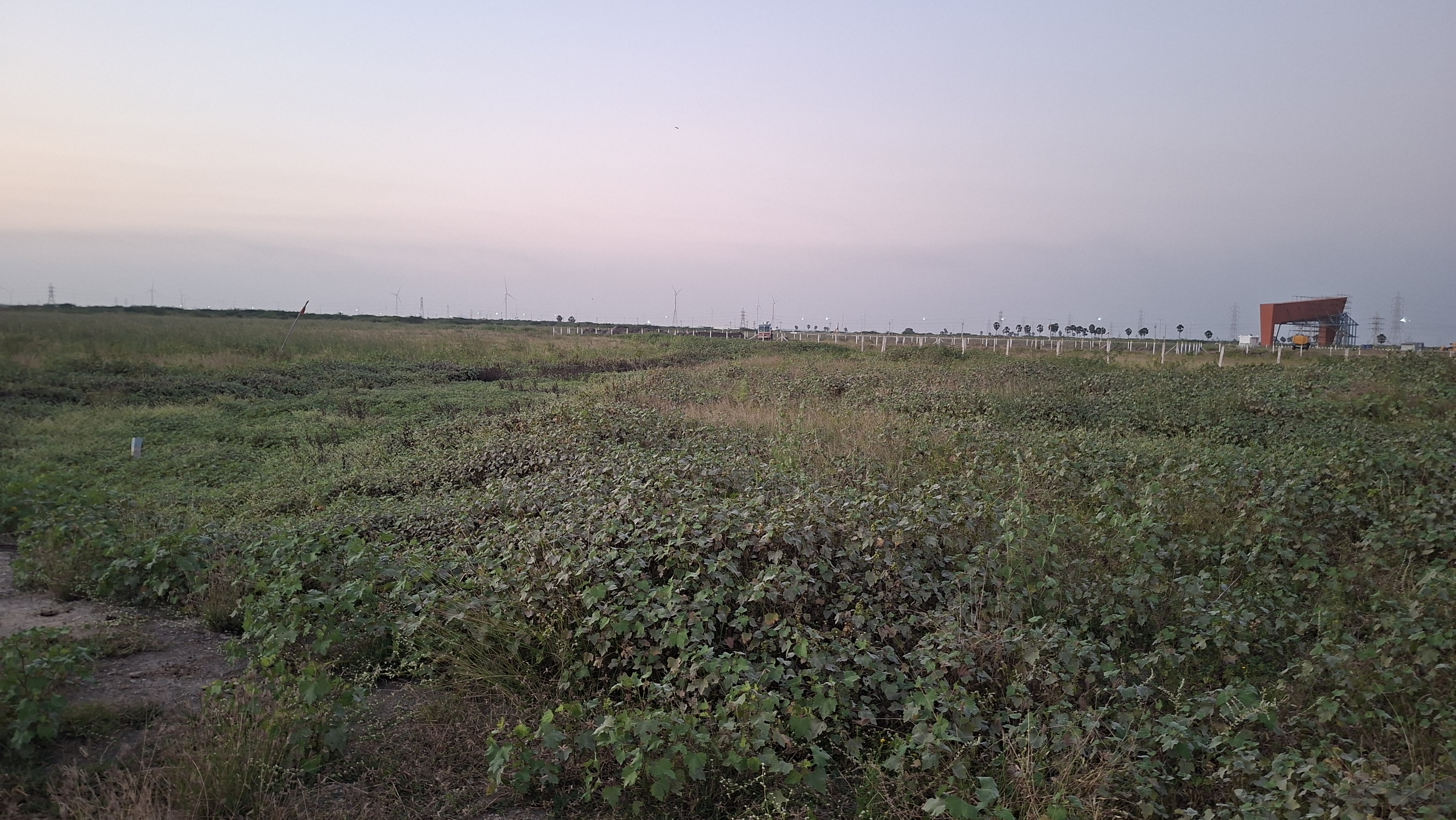 Agri Land